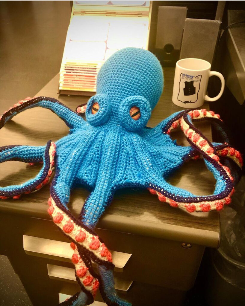 octopus