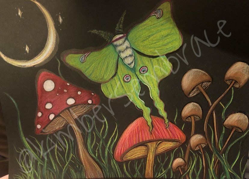 luna moth faery