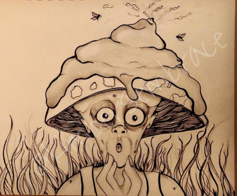 drawing art poop mushroom flies